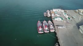 Pakistani senior official applauds development of Gwadar Port under CPEC