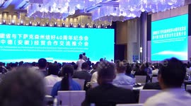Chinese, German enterprises seek further cooperation in green development