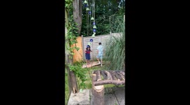 If Only The Kids Had A Trampoline