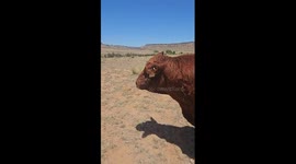 Earl Has Better Things To Do