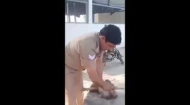 Policeman performs CPR on monkey that collapsed with heat stroke