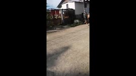 Son returns home for surprise reunion after more than a decade