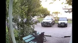 Man falls from third-floor apartment onto bench