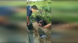 Panama: National Police of Panama and Firefighters Conduct Heartwarming Puppy Rescue