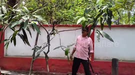 Cobra invades district commandant's bungalow in central India, causes panic among security personnel