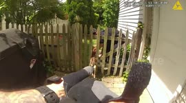 Fawn stuck in garden fence rescued in New Jersey