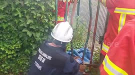 Juvenile deer stuck in gate released by firemen in France
