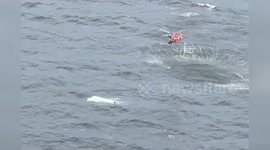 USA: Coast Guard Helicopter Crew Rescues Four Boaters Near Dauphin Island, Alabama