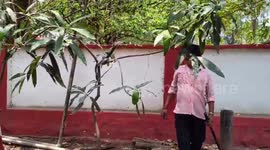 India: Cobra invades district commandant's bungalow, causes panic among security personnel