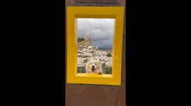 Ears Wiggling In Spain
