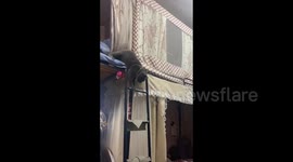 China: Clumsy Cat's Dorm Room Descent