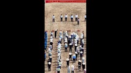 China's Shandong starts summer wheat harvest