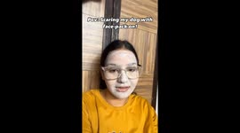 Dog afraid of owner's face mask