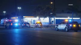 USA: Gardens Man Shot in Head