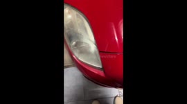 Car hood opens to reveal kitten stuck inside engine