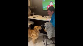 Genius dog knows exactly how to fetch his dad's beer