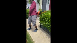 Showoff Slices Hedge Trimmer Cord