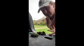 Helping A Turtle With Fishing Line Stuck in His Jaw