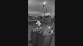 Curious fox reacts to viral 'Skibidi Toilet' song played through ring doorbell in London