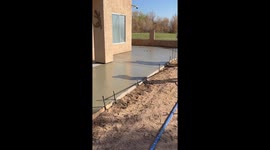 Snake Slithers Across Wet Concrete