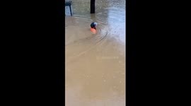 Cyclist rides e-bike through floods amid heavy rain in China