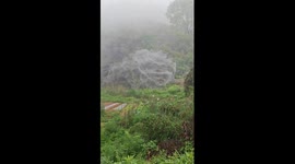 Giant 'spider web' appears overnight leaving residents terrified