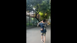 Man Mimicking Monkeys’ Calls Stirs Up Zoo in Northern China