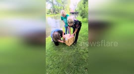 Police department release duck family rescued near school