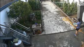 Brave pensioner, 89, catches large snake bare-handed in China