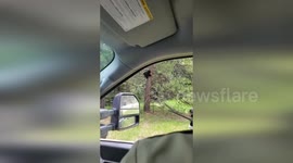 Park rangers tranquilise mother bear to free trapped cub