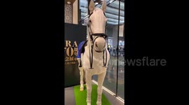 Japan: Lifelike Robot Horse Amazes Crowd At JRA 70th Anniversary Event In Tokyo 2