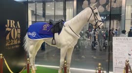 Lifelike robot horse amazes crowd in Toyko