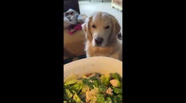 Grandma’s love vs. food: Risky and Peach's priorities