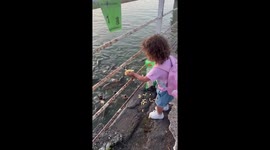 Feeding frenzy: child joyfully shares a meal with Madrid's fish