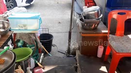 Smart monitor lizard visits market stall to ask for food three times a day
