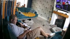 Dog uses human as a springboard for high-flying fun while engulfed in a vortex of zoomies