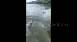 Heroic Chinese pensioner rescues drowning woman from lake