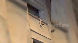 Man saves cat from three-storey drop by catching it with a foldout chair