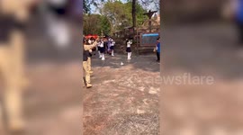 Parrot steals the show with hilarious dances moves during parade