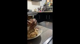 Dinnertime chicken turns a calm pup into a jumping dynamo