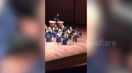 Stray cat steals the limelight during classical music performance