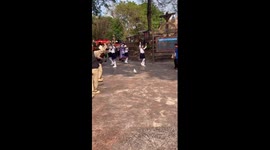 Pet cockatoo bops along with dance performance
