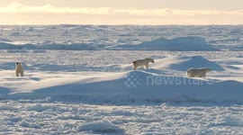 New study shows Antarctica's glaciers are melting