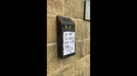 Baby Birds Nest In Cigarette Receptacle