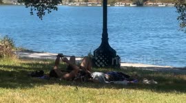 California's Intense Heatwave