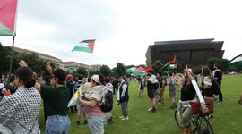 Pro-Palestinian rally during the USA Memorial Day parade 2024
