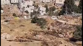 Palestine: Israeli Settlers March Through Hebron's Wadi al-Hassin Neighborhood