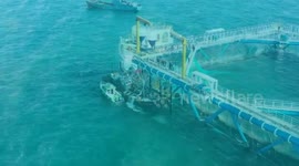 Cooperation with China helps Africa realize blue economy aspirations