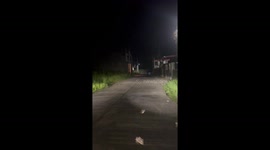Frog ceremony interrupts commute: Lucban resident's video captures road filled with amphibians