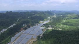 Diplomatic envoys see cooperation opportunities with China in smart agriculture